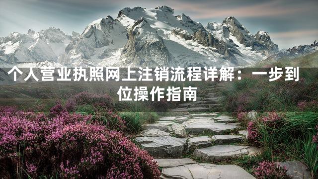 个人营业执照网上注销流程详解：一步到位操作指南