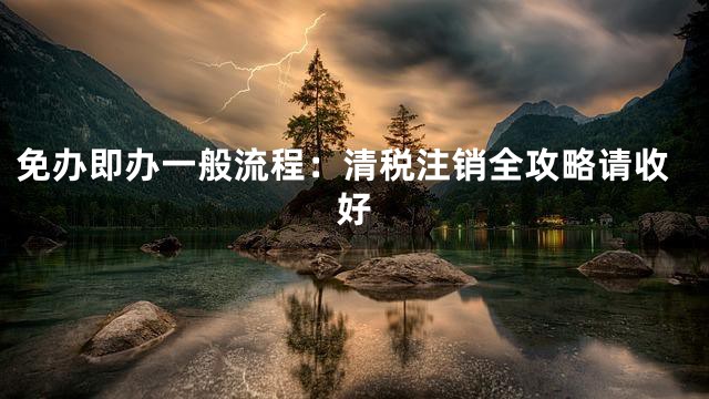 免办即办一般流程：清税注销全攻略请收好