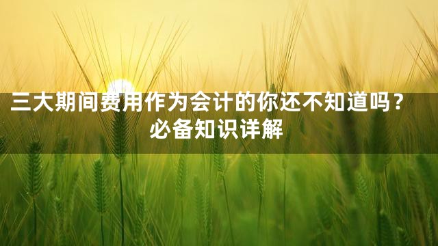 三大期间费用作为会计的你还不知道吗？必备知识详解