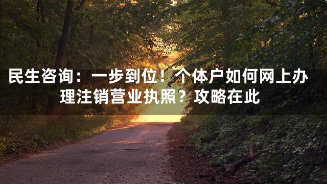 民生咨询：一步到位！个体户如何网上办理注销营业执照？攻略在此