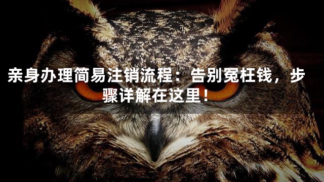 亲身办理简易注销流程：告别冤枉钱，步骤详解在这里！