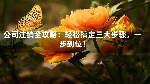 公司注销全攻略：轻松搞定三大步骤，一步到位！