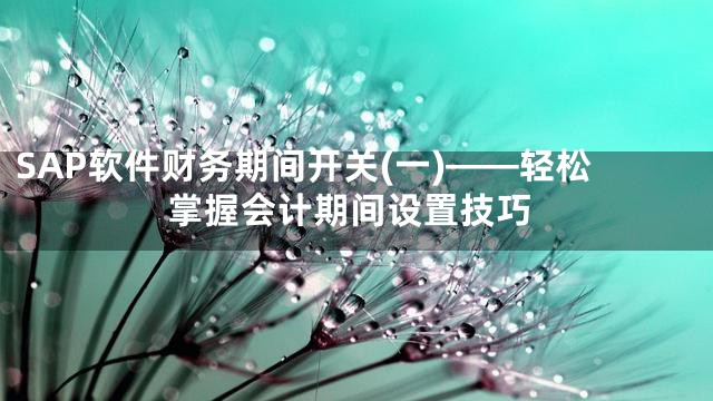 SAP软件财务期间开关(一)——轻松掌握会计期间设置技巧