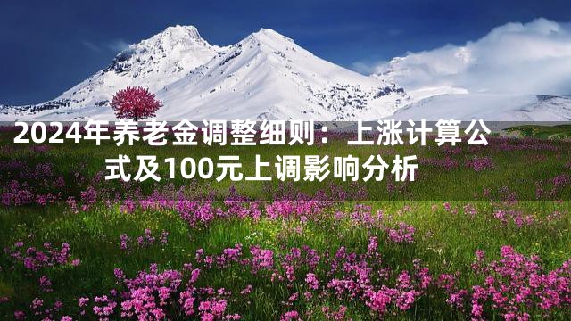 2024年养老金调整细则：上涨计算公式及100元上调影响分析
