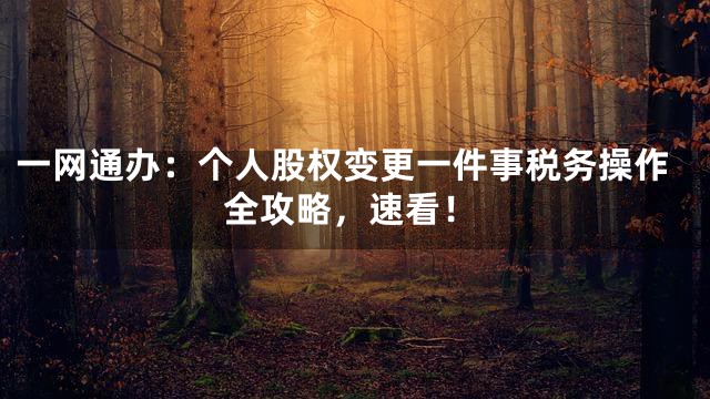 一网通办：个人股权变更一件事税务操作全攻略，速看！