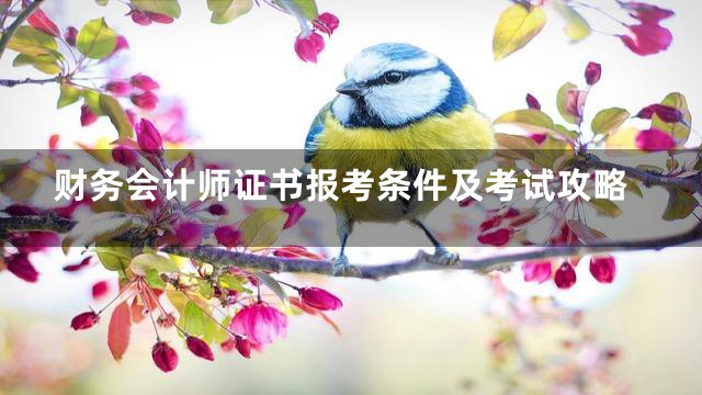 财务会计师证书报考条件及考试攻略