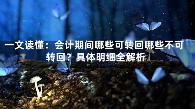 一文读懂：会计期间哪些可转回哪些不可转回？具体明细全解析