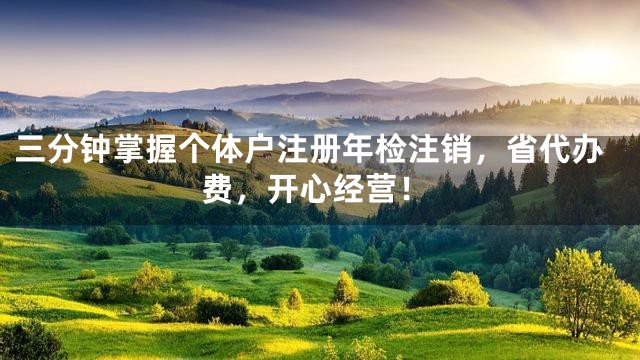 三分钟掌握个体户注册年检注销，省代办费，开心经营！