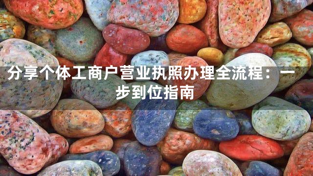 分享个体工商户营业执照办理全流程：一步到位指南