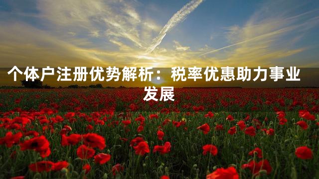 个体户注册优势解析：税率优惠助力事业发展