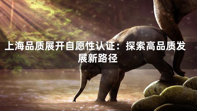 上海品质展开自愿性认证：探索高品质发展新路径