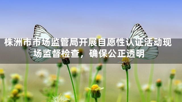 株洲市市场监管局开展自愿性认证活动现场监督检查，确保公正透明