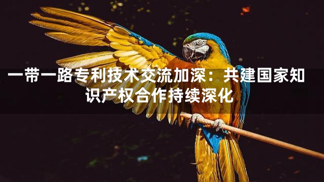 一带一路专利技术交流加深：共建国家知识产权合作持续深化