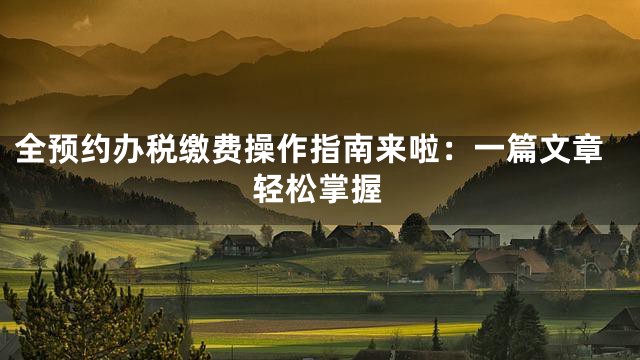 全预约办税缴费操作指南来啦：一篇文章轻松掌握