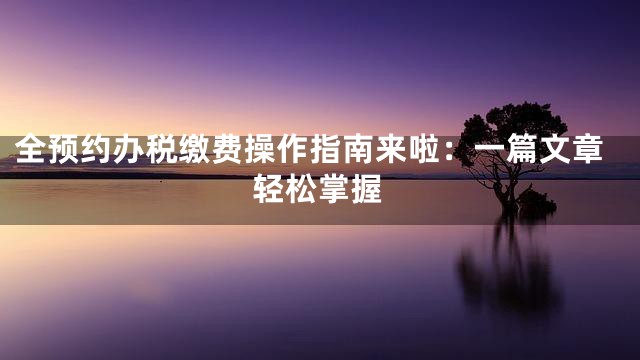 全预约办税缴费操作指南来啦：一篇文章轻松掌握