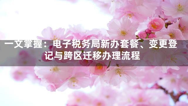 一文掌握：电子税务局新办套餐、变更登记与跨区迁移办理流程