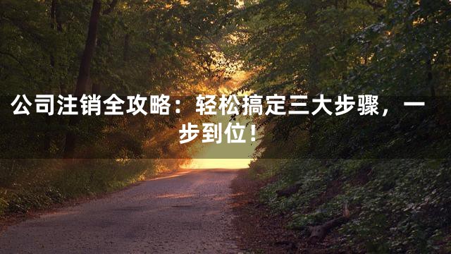 公司注销全攻略：轻松搞定三大步骤，一步到位！