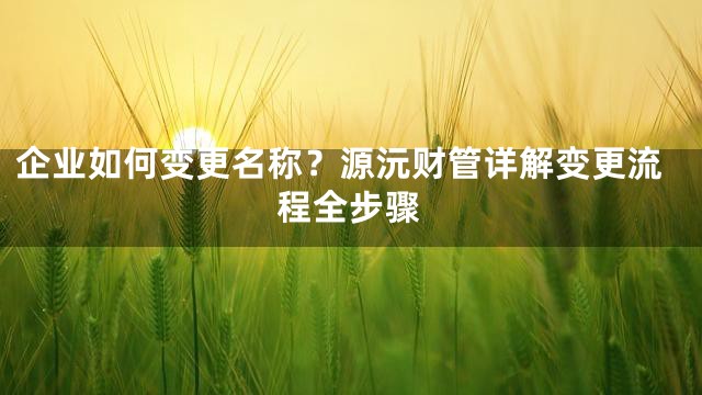 企业如何变更名称？源沅财管详解变更流程全步骤