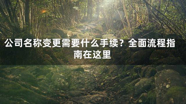 公司名称变更需要什么手续？全面流程指南在这里