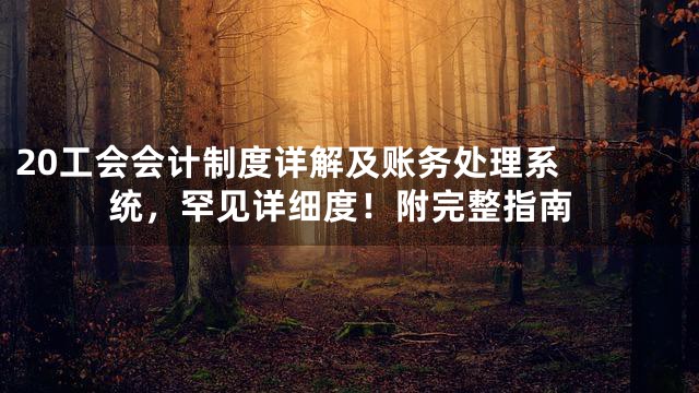 20

工会会计制度详解及账务处理系统，罕见详细度！附完整指南