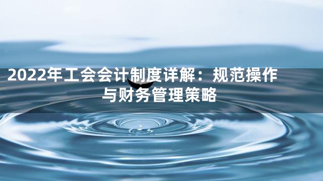 2022年工会会计制度详解：规范操作与财务管理策略