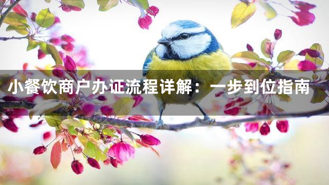 小餐饮商户办证流程详解：一步到位指南