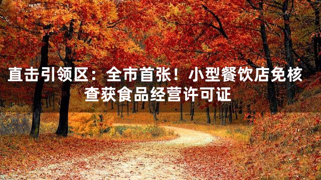 直击引领区：全市首张！小型餐饮店免核查获食品经营许可证