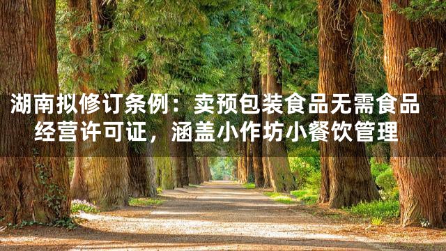 湖南拟修订条例：卖预包装食品无需食品经营许可证，涵盖小作坊小餐饮管理