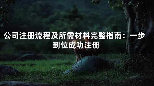 公司注册流程及所需材料完整指南：一步到位成功注册