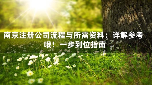 南京注册公司流程与所需资料：详解参考哦！一步到位指南