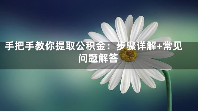 手把手教你提取公积金：步骤详解+常见问题解答