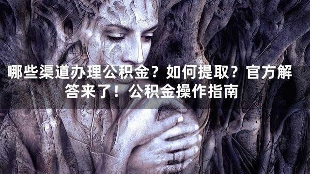 哪些渠道办理公积金？如何提取？官方解答来了！公积金操作指南