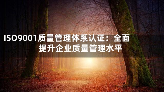 ISO9001质量管理体系认证：全面提升企业质量管理水平