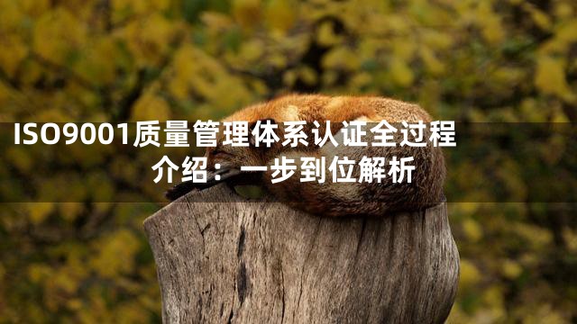 ISO9001质量管理体系认证全过程介绍：一步到位解析