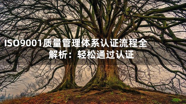 ISO9001质量管理体系认证流程全解析：轻松通过认证