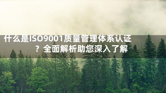 什么是ISO9001质量管理体系认证？全面解析助您深入了解