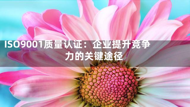ISO9001质量认证：企业提升竞争力的关键途径