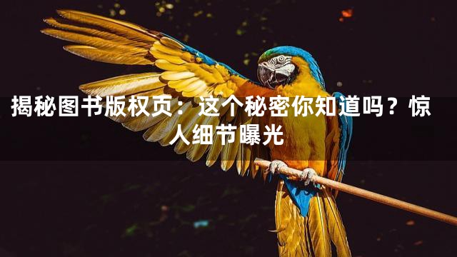 揭秘图书版权页：这个秘密你知道吗？惊人细节曝光