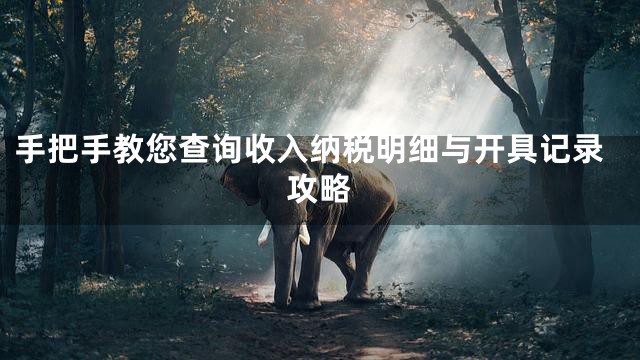 手把手教您查询收入纳税明细与开具记录攻略