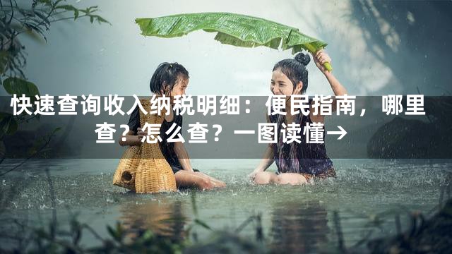 快速查询收入纳税明细：便民指南，哪里查？怎么查？一图读懂→