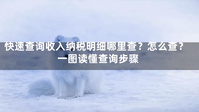 快速查询收入纳税明细哪里查？怎么查？一图读懂查询步骤