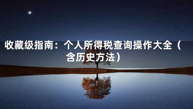 收藏级指南：个人所得税查询操作大全（含历史方法）