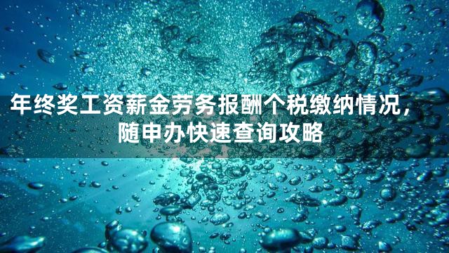 年终奖工资薪金劳务报酬个税缴纳情况，随申办快速查询攻略