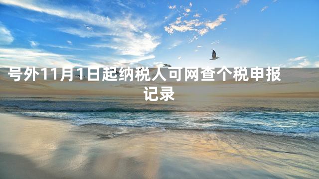 号外11月1日起纳税人可网查个税申报记录