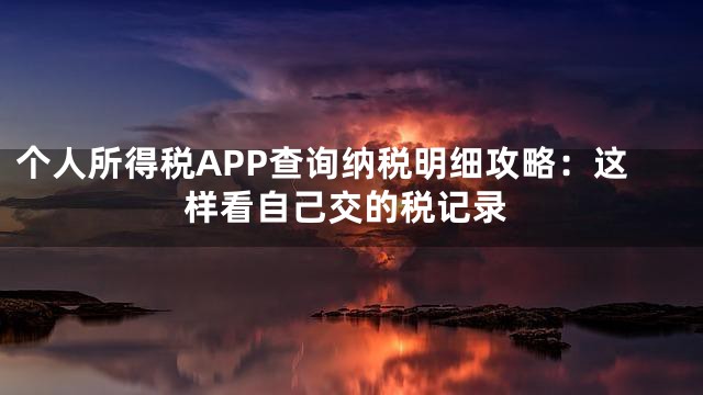 个人所得税APP查询纳税明细攻略：这样看自己交的税记录