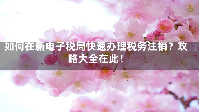 如何在新电子税局快速办理税务注销？攻略大全在此！