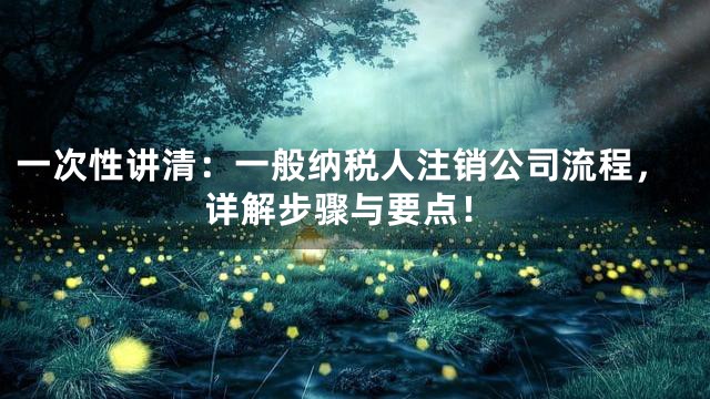 一次性讲清：一般纳税人注销公司流程，详解步骤与要点！