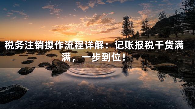 税务注销操作流程详解：记账报税干货满满，一步到位！