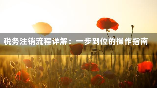 税务注销流程详解：一步到位的操作指南