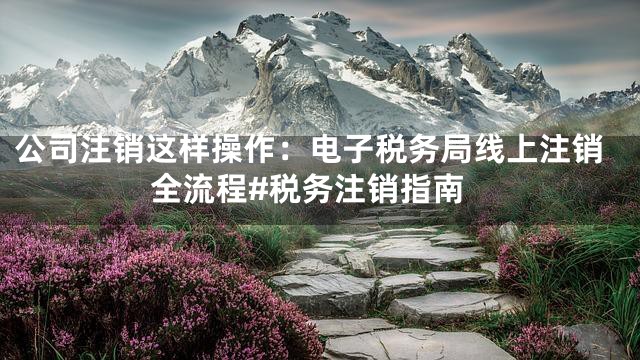 公司注销这样操作：电子税务局线上注销全流程#税务注销指南
